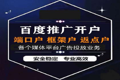 顶级SEM运营公司案例分析